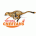 Cheetahs