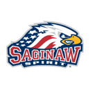 Saginaw Spirit
