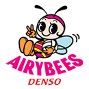 Denso Eyribiz