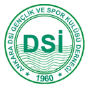 Ankara DSИ Era