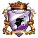 Politehnica Tm