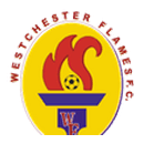 Vestchester Fleyms