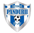Viitorul P