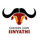Iinyathi