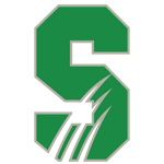Salem Fighting Tigers